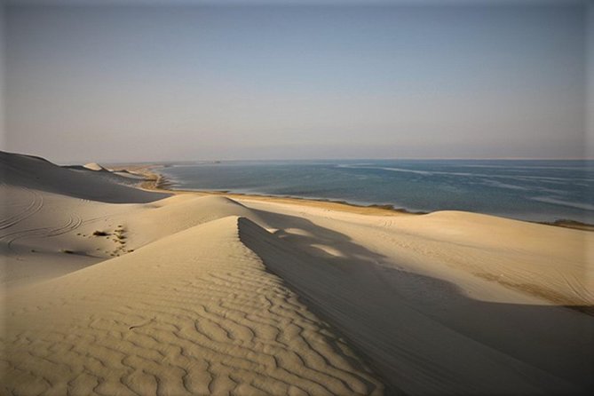 Qatar Gold Dune Safari, Dune Bashing,Camel Ride,Sand Boarding,Inland Sea Desert - Dune Bashing in a 4x4, Fast Fun With Real-World Caution