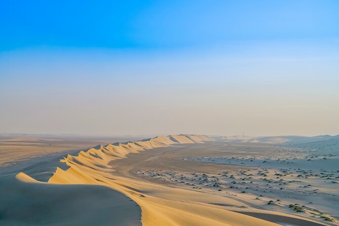 Qatar Half Day Desert Safari(Camel Rides & Sandboarding) - From Doha to the Desert, Fast and Straight