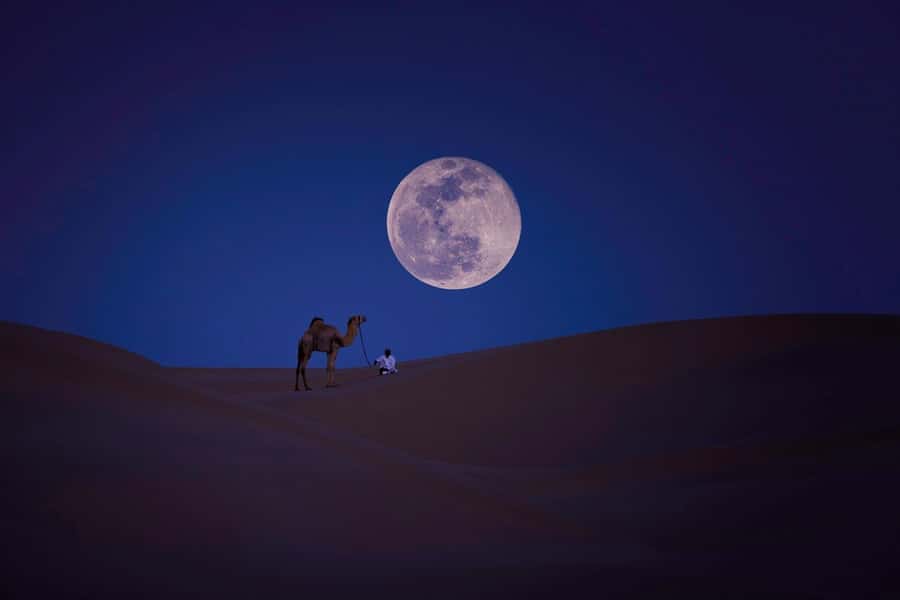 Qatar: Night Desert Safari| Camel Ride| Inland Sea Beach - Key things to know before you go