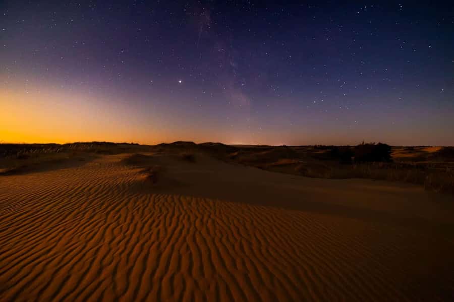 Qatar: Night Desert Safari| Camel Ride| Inland Sea Beach - Desert thrills with a coastal twist at Inland Sea Beach