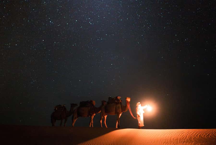 Qatar: Night Desert Safari| Camel Ride| Inland Sea Beach - Mesaieed stop: coffee, camels, and quick coastal desert views