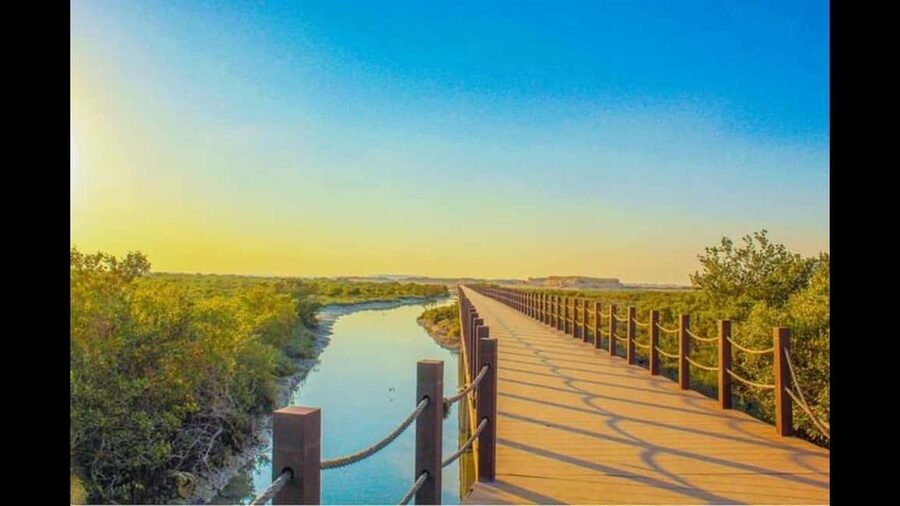 Qatar:North Tour, Purple island, zubara Fort, Jumail village - Purple Island: purple soil, burial mounds, and wildlife pauses
