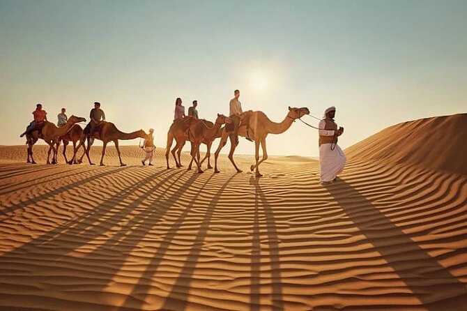 Qatar: Sunrise or Sunset Desert Tour in Doha, unforgettable trip - Key highlights you will actually feel