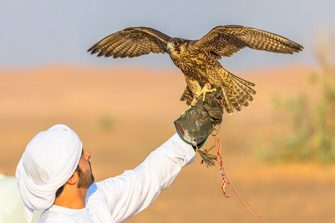 Qatar: Sunrise or Sunset Desert Tour in Doha, unforgettable trip - Inland Sea dunes: the Land Cruiser fun stretch