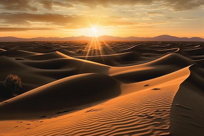 Qatar: Sunrise or Sunset Desert Tour in Doha, unforgettable trip - Pickup, private group feel, and how long you’ll be out