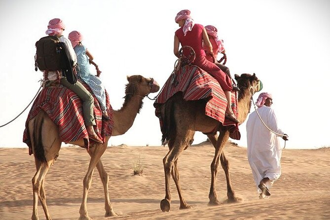 Qatar Sunset Desert Safari: Dune Bashing & Golden Sands Adventure - Price and value: what $54 buys you in the desert