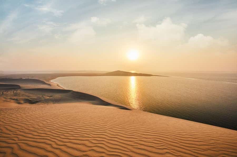 Qatar: Sunset Desert Safari with Camel Ride & Sandboarding - Timing, group size, and what you should expect in motion