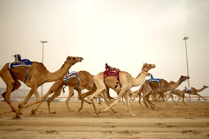 Qatar West Coast tour, Zekreet, Richard Serra Sculpture, Mushroom Rock Formation - Key things I would plan around