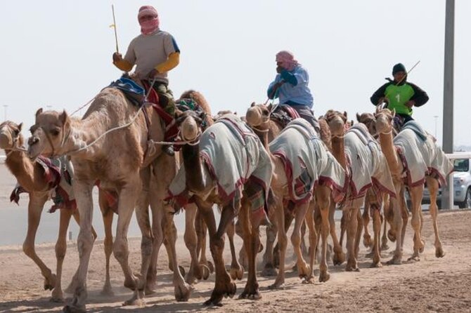 Qatar West Coast Zkreet Richard Sierra Camel Track Rock Formation - A focused west-coast half day from Doha, with a private vehicle