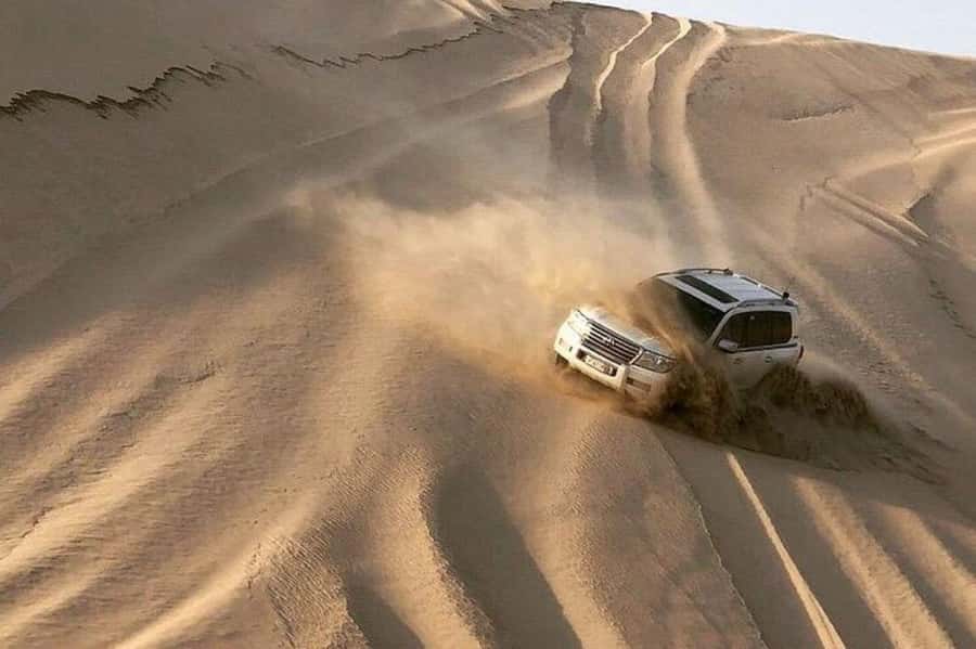 Relax Desert Safari, Sand Dune Bashing (Private Safari) - Optional Camel Ride: Worth It or Just a Quick Stop?