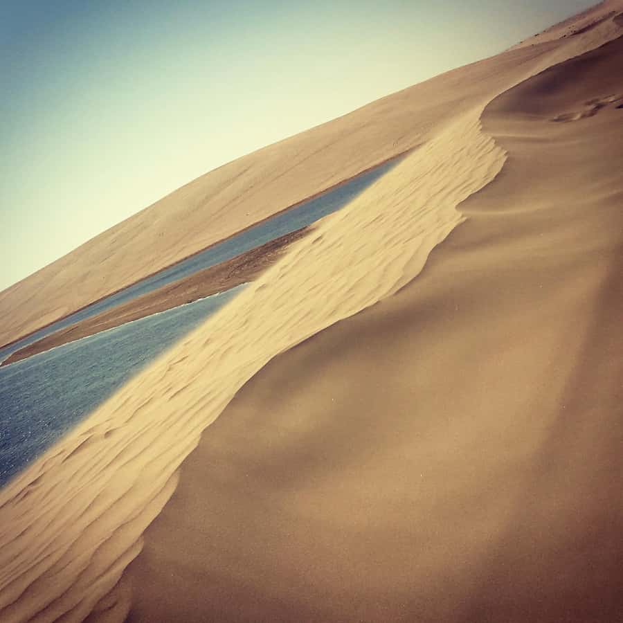 Relax Desert Safari, Sand Dune Bashing (Private Safari) - Who Should Book This Private Safari, and Who Might Not