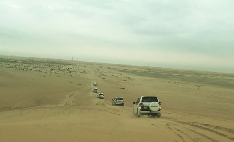 Relax Desert Safari, Sand Dune Bashing (Private Safari) - Sealine Beach Start: Photo Stop Energy, Then Camp Time