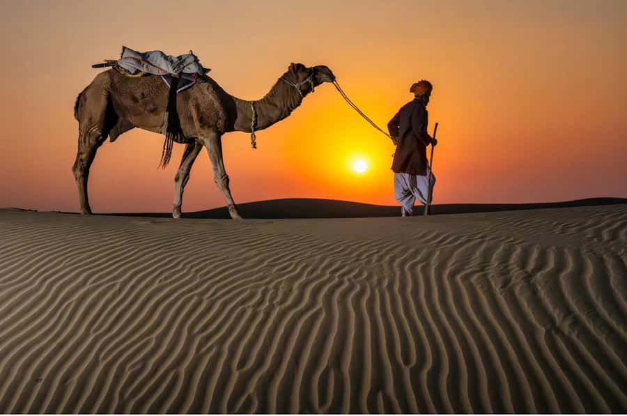 Relax Inland Sea Tour, Desert Safari, Camel Ride, SandBoard - Quick hits: what makes this safari worth your time