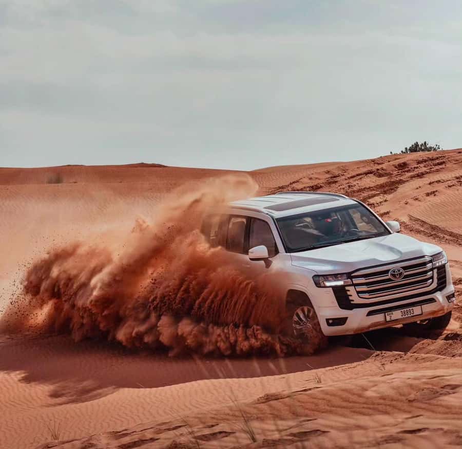 Relax Inland Sea Tour, Desert Safari, Camel Ride, SandBoard - Who should book this safari, and who should skip it