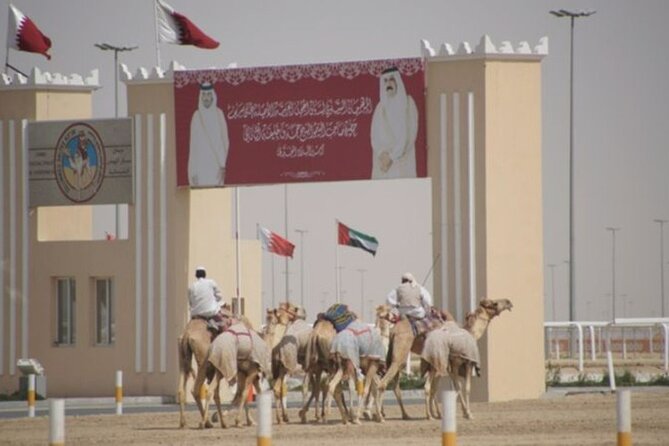 Richard Serra Sculpture Mushroom Rock Formation Tour - West Qatar in Four Hours: Art, Wind-Carved Stone, and Camel Racing