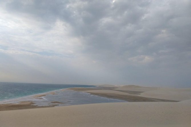 Sharing or Private Safari, Sand Boarding, Camel Ride, inland Sea Quick swim - Dune Bashing Tips, What Skilled Driving Looks Like