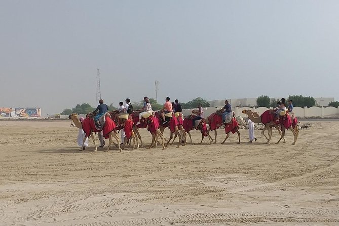 Sharing or Private Safari, Sand Boarding, Camel Ride, inland Sea Quick swim - Swim Logistics at Sealine Beach, No Lifeguards, No Changing Rooms
