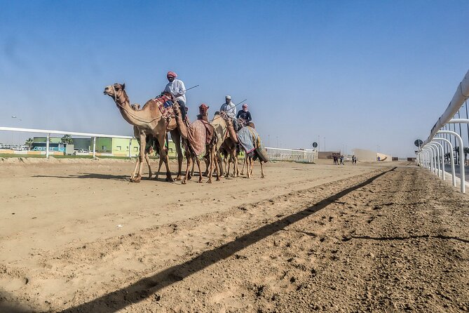 Sheikh Faisal, Camel Race Track visit - Racing and Equestrian Club: Arabian and Thoroughbred Horses in Training
