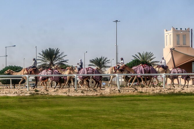 Sheikh Faisal, Camel Race Track visit - Sheikh Faisal Museum in a Desert Fortress: 15 Halls and 15,000 Artifacts