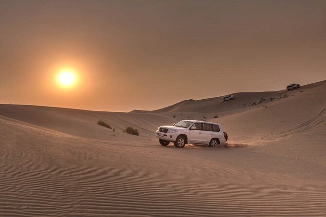 Special Private Arabic Setup with Desert safari experience. - Sealine Beach camel ride: quick, scenic, and actually included