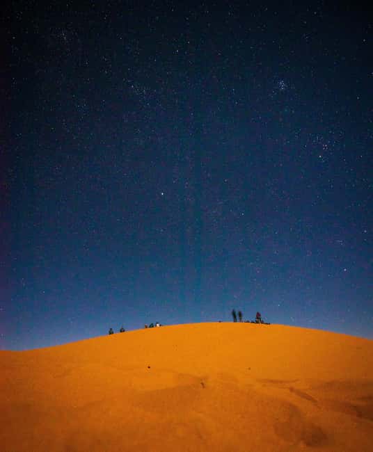 Star Studded Night Desert Safari Doha Qatar - Guides and Driving: The People Make It Better