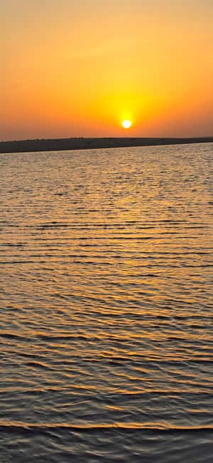 Sunrise or Sunset desert Safari with Sandboarding in Qatar - Key things to know before you go
