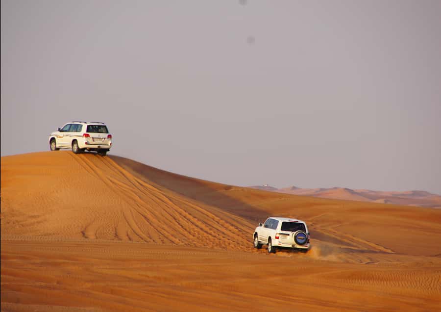 Sunrise : Privare Dune Bashing, Camel Ride & Sandboarding - Key Highlights You’ll Actually Feel