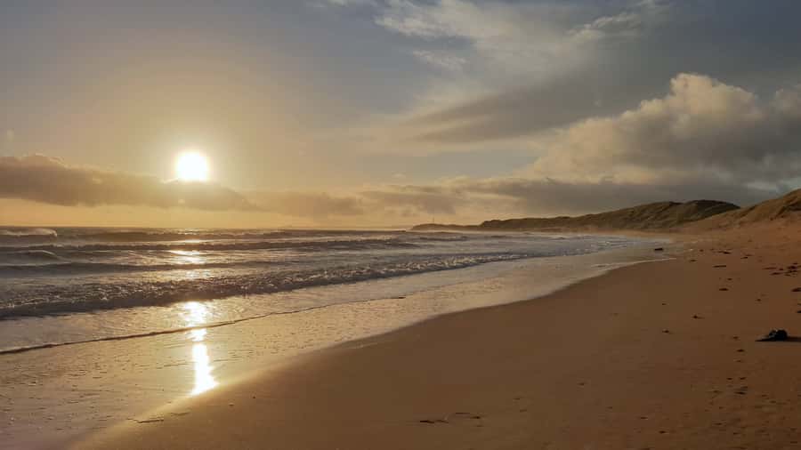 Sunrise : Privare Dune Bashing, Camel Ride & Sandboarding - Sandboarding at First Light