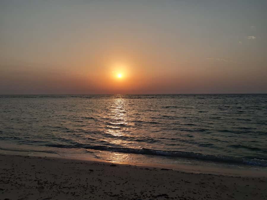 Sunrise : Privare Dune Bashing, Camel Ride & Sandboarding - The Inland Sea Stop: Desert Meets Water