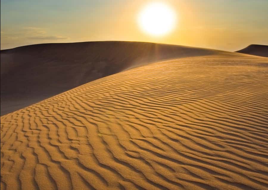 Sunrise : Privare Dune Bashing, Camel Ride & Sandboarding - Camel Ride at the Camel Camp Near Sealine Beach Resort
