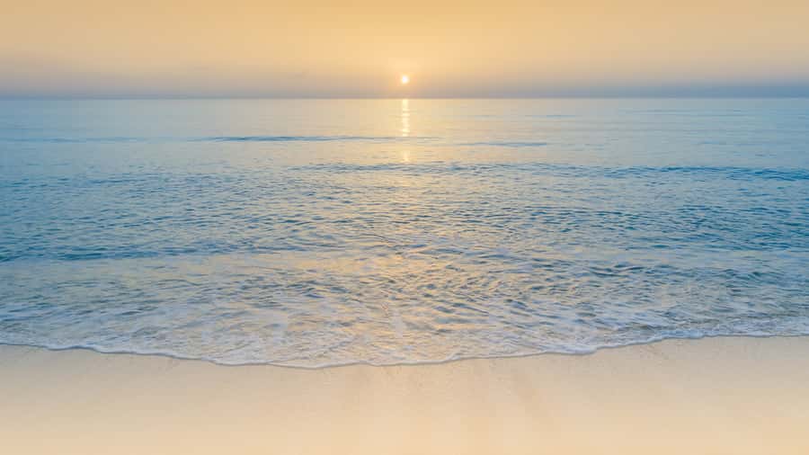 Sunrise : Privare Dune Bashing, Camel Ride & Sandboarding - Price and Value: Is $30 Worth It?