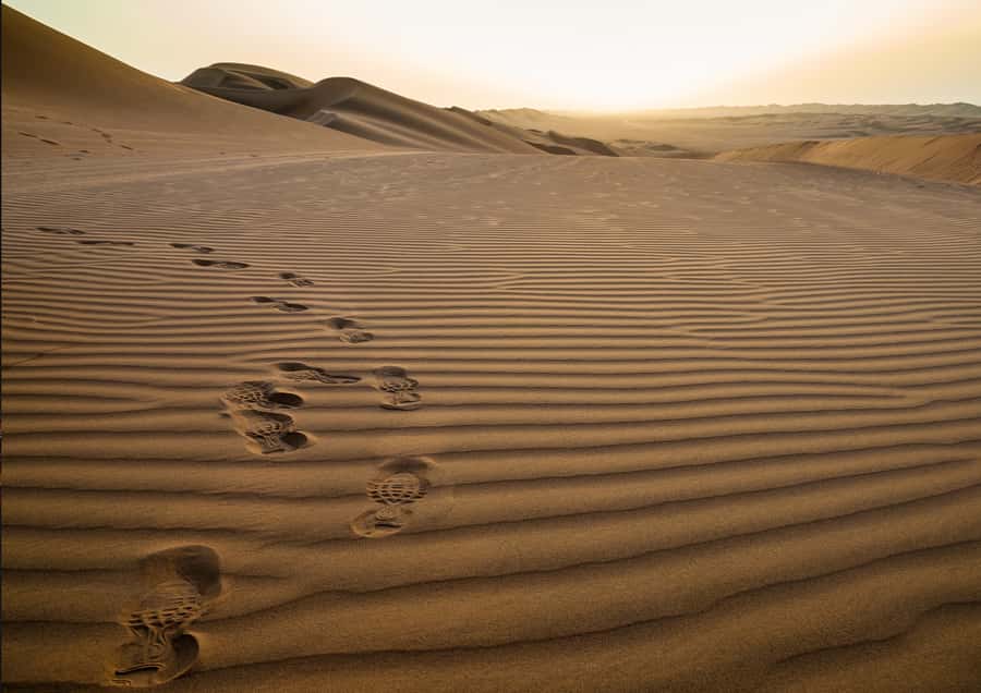 Sunrise : Privare Dune Bashing, Camel Ride & Sandboarding - Who This Sunrise Safari Suits Best
