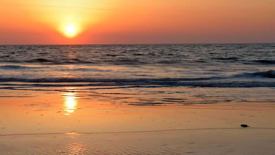 Sunrise : Privare Dune Bashing, Camel Ride & Sandboarding - Should You Book This Sunrise Desert Safari?