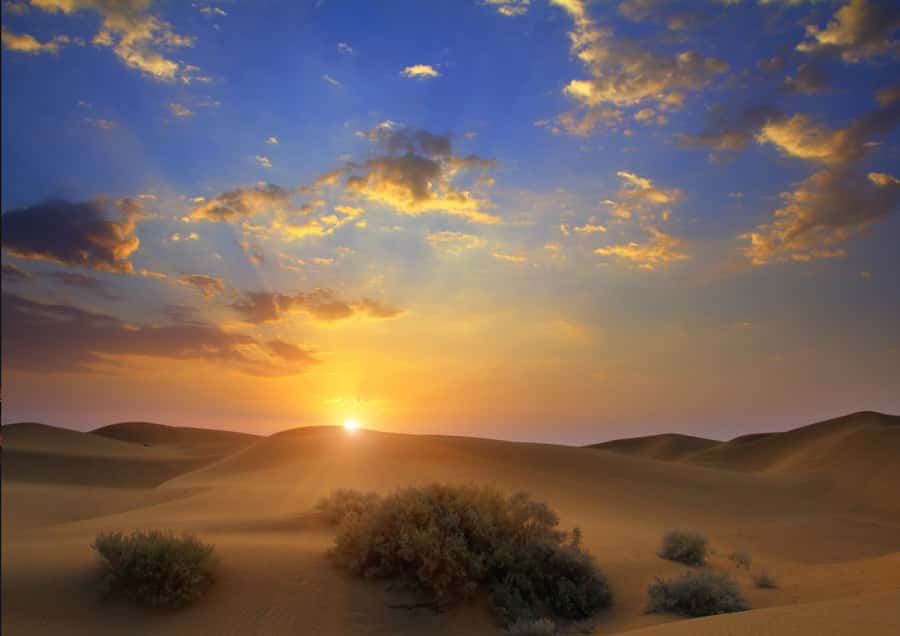 Sunrise : Privare Dune Bashing, Camel Ride & Sandboarding - 4x4 Dune Bashing: Adrenaline With Rules