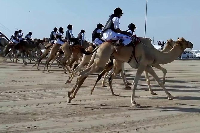 Sunset Keshta at Zekreet | Art, Adventure & Arabian Picnic - Key Highlights You Should Care About