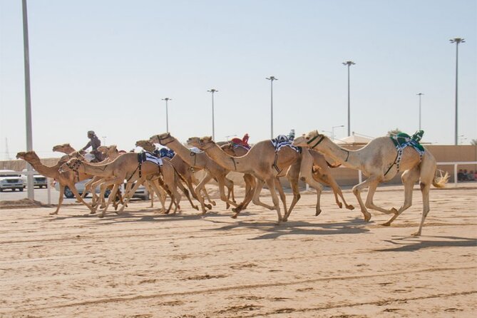 Sunset Keshta at Zekreet | Art, Adventure & Arabian Picnic - Logistics That Affect Your Comfort (So You Don’t Get Surprised)