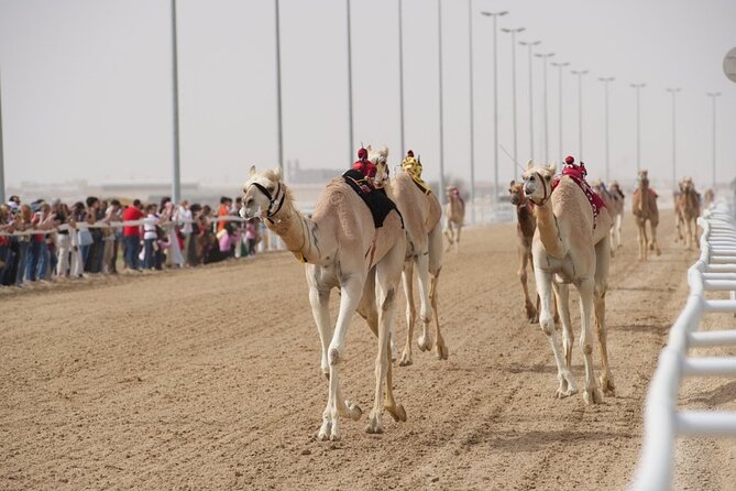 Sunset Keshta at Zekreet | Art, Adventure & Arabian Picnic - Who This Tour Suits Best in Doha
