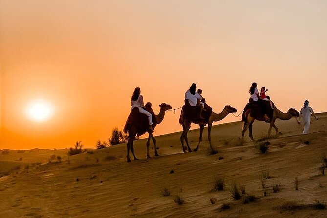 Thrilling 4-Hour Dune Bashing & Camel Ride Safari to Inland Sea - Price and value check for $44.59 in Doha