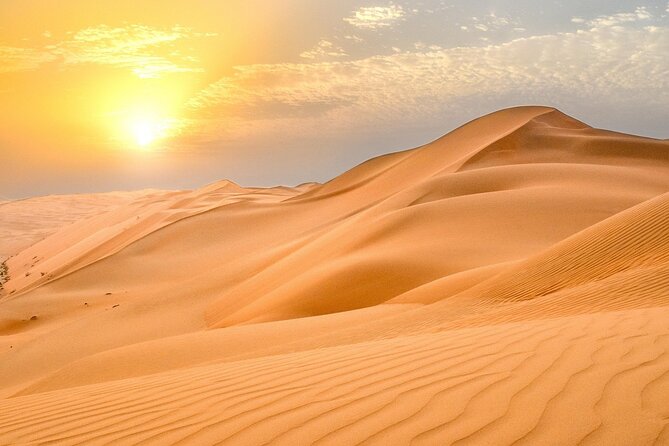 Tranquil Sands A Serene Desert Safari Experience - Key highlights you should care about