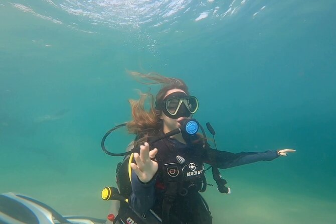 Try Scuba dive in Qatar - Getting To Sealine Beach, Mesaieed, and Why Transfers Matter