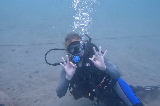 Try Scuba dive in Qatar - The Official Certificate, and Why It’s More Than Paper