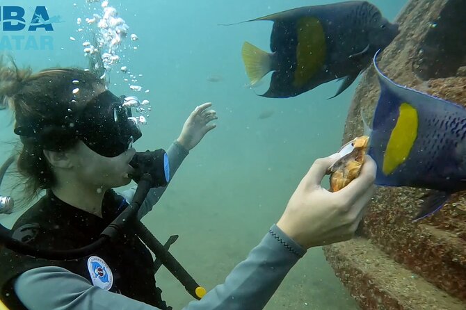 Try Scuba dive in Qatar - The 10 to 30 Minute Briefing That Sets You Up Fast