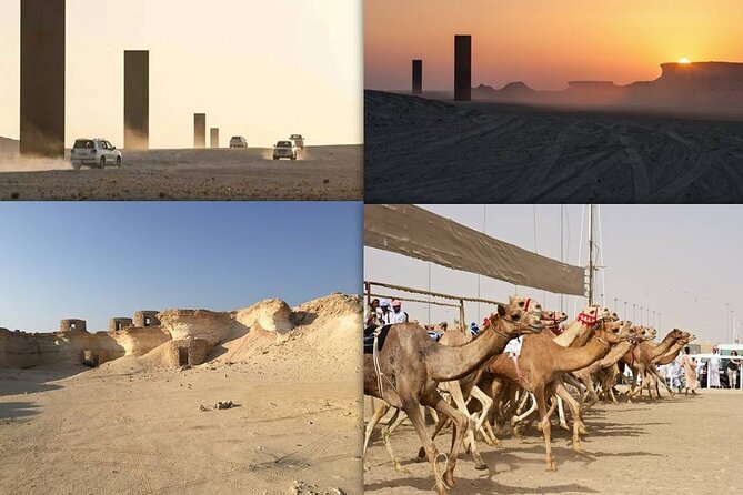 West Coast and Camel Race Track Visit - Key takeaways before you go