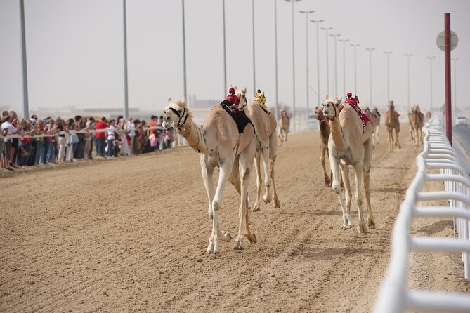 West Coast and Camel Race Track Visit - Why this West Coast route feels different from a standard Doha tour