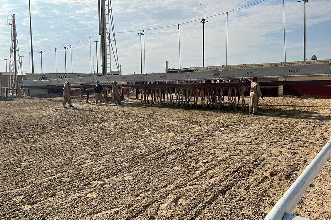 West Of Qatar, Mushroom Rocks, Camel Racing Track, Richard Serra - Mushroom Rocks Mentioned, How to Treat It on Your Day