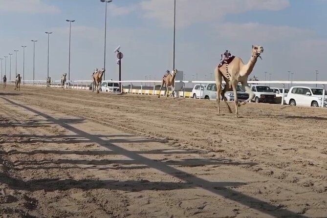 West Of Qatar, Mushroom Rocks, Camel Racing Track, Richard Serra - Timing, Transport, and How to Make This Desert Day Feel Smooth
