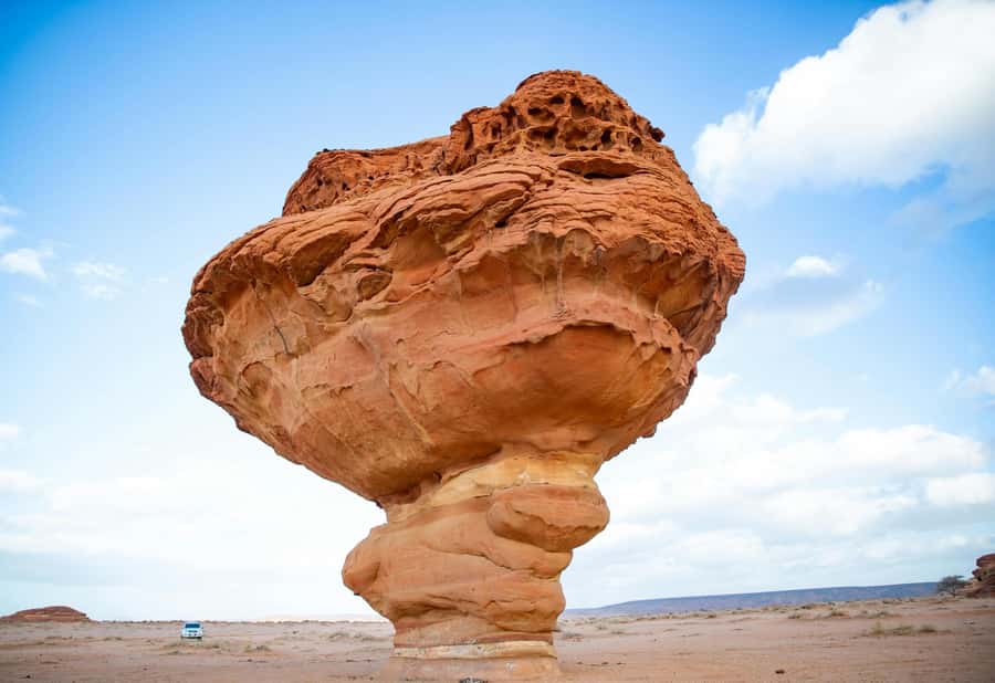 West of Qatar Richard Serra, Mushroom Hills, CamelRace track - Mushroom Hills: “mushroom” limestone shapes and quick photo gold