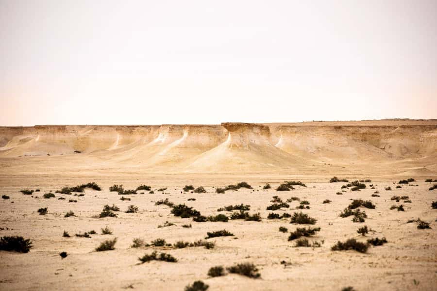 West of Qatar Richard Serra, Mushroom Hills, CamelRace track - Who this tour is best for