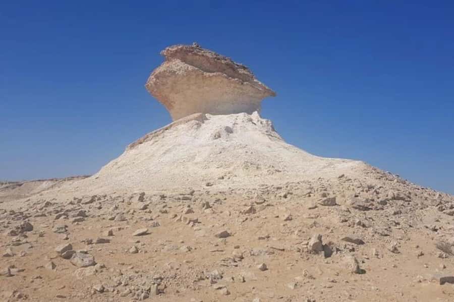 West Qatar-Doha Richard sierra,camel race,mushroom rock - Key Points You Should Know Before You Go