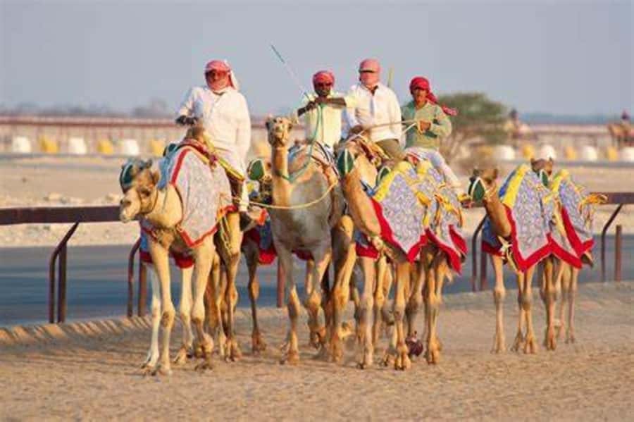 West Qatar-Doha Richard sierra,camel race,mushroom rock - Zekreet Fort Ruins: A Guided Walk Through Fort Zekreet